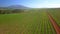 Drone, agriculture and crops with nature in countryside, green with plants and land for farming and sustainability