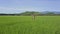 Drone Approaches Closely Girl in Yoga Pose near Hills under Sky