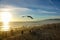 DRONE: Beautiful shot of seagulls flying over Santa Monica Beach at sunset