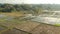 Drone  or bird eyeview  of bali Rice Field