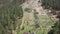 Drone bird\\\'s-eye view video of flying over the Gorno-Altai Botanical Garden