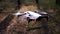 Drone with a camera hovers in the air above the ground in the forest. Slow motion.