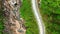 Drone, car and trees with road in forest for environment, countryside wildernesses and nature. Travel, river and valley