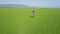 Drone Close View Farmer Sprinkles Rice Fields in Valley