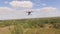 Drone copter UAV - aerial video shooting flying on eight propellers oktocopter.