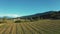 Drone, countryside and landscape of farm, vineyard and mountains by blue sky. Aerial view, agriculture and forest, field