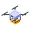 Drone delivery icon isometric vector. Fast speed shipping