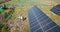 Drone, engineering or people with solar panels on farm for renewable energy, clean electricity or sustainability. Aerial