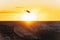 Drone in epic flight against dramatic golden sunset in remote location by the desert cliffs