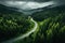 Drone eye view of a winding forest road through the serene green landscape