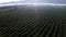 Drone of farm, agriculture and vineyard in field for production in wine business and landscape background with lens