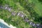 Drone field of view of chalets hidden among forest and beach in Praslin, Seychelles