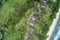 Drone field of view of chalets hidden among forest and beach in Praslin, Seychelles