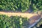 Drone field of view of pine forest and roads forming patterns in nature in Western Australia