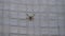 Drone flies against a concrete wall