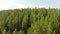 Drone flies closer to forest and around the coniferous evergreen trees.