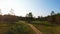 Drone flies forward above country road surrounded by forest at sunset