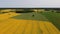 Drone Flies Low Over Yellow Rapeseed Field.