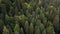 The drone flies over the autumn forest in the fog