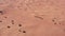 A drone flies over a caravan of buggies standing on a desert sand dune.