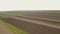 Drone flies over a green agricultural wheat field