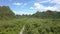 Drone Flies over Modern Road among Tropical Woods