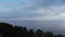 Drone flight over trees overlooking the sea and sky with rain clouds. horizon line with the sea and rolling waves