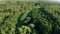 Drone Flight View Above Green Forest And Small Marsh Landscape. Top View From High Attitude In Summer Evening. Small