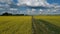 Drone fly above summer rapeseed fields and bad rural road