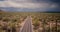 Drone flying above beautiful empty desert road in big Saguaro cactus field in Arizona national park stormy desert USA.