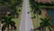 Drone flying above road lined with tall palm trees.
