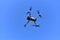 Drone flying in the air over an agricultural field. Quadcopter with HD video and a 48MP Camera 4K Video during flight. Copter for