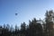Drone flying in the blue sky above the trees