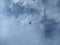 Drone flying in the blue sky with white clouds, close-up