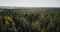 Drone flying fast over beautiful wide forest view. Aerial 4K fantastic background shot of trees and opening skyline.