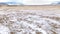 DRONE: Flying high above the snowy prairie as a herd of elk migrates in winter.