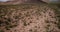 Drone flying low above giant Saguaro cactus desert field scenery landscape in epic Arizona national park reserve USA.