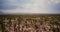 Drone flying low over beautiful cactus desert valley, pickup car moving by along road in Arizona national park reserve.