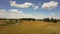 Drone flying low, panning left over lush meadow. Aerial shot of peaceful sunny field with small trees and river. 4K.