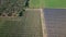 Drone flying over a field during sunset. Drone flies over green agriculture field. Beautiful summer landscape of a field