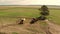 Drone flying over rural harvesters stand on wide field between lonely green tree