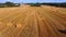 Drone flying over a yellow harvested field. Agriculture concept.