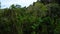 Drone flying from the path in jungle forest then rising up and filming landscapes