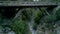 Drone footage of a bridge in the mountains and green plants in the rocky valley