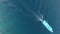 drone footage of fishing boat crossing blue sea