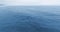 Drone footage of a gray whale splashing on the surface of the ocean Ruby Beach, Olympic National Park, Washington, USA