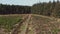 Drone footage of a person mountain biking along an empty country track