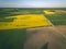 drone image. aerial view of rural area with cultivated fields of