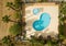 Drone image, birds eye view about blue swimming pools and palm trees, plants surrounded.
