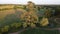 drone image of a tall cedar tree casting its shadow in the golden hour